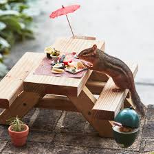 Mothballs will deter chipmunks and squirrels from your home. I Miss Restaurants So I Opened My Own For A Chipmunk Bon Appetit
