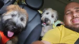 Beautiful day for a short ride! Muppet and Walter!❤️