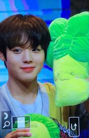 Filipino mays and wannables love. Park Jihoon S Fans Give Him Broccoli Soft Toys Despite Being His Most Hated Vegetable Up Station Malaysia