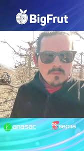 Estamos en Coinco, finalizando los conteos de dardos en cerezos con  BigFrut, en compañía de Felipe Reyes, quien nos cuenta cuáles son las  ventajas de este servicio que te permitirá alcanzar una mayor ...