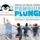 Penguin Plunge