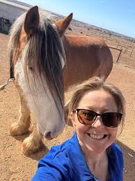 Harrys walk is tomorrow-it's at 11 at how hill