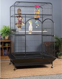 Bird Cage On Wheels For Sale Bird Cage Macaw Empire Black Hammertone Metal Pet House Wheels Durable Toys New Prevuepetproducts Bird Cage Pet Hous Macaw Cage Large Bird Cages Bird Cage