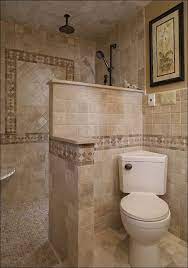 Interesting Walk In Shower Designs No Glass Nice Design All Tile Of Wall And Ceiling Goody Square Dr Small Bathroom Bathroom Layout Bathroom Remodel Shower
