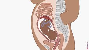 At around 12 weeks, the doctor might be able to hear your baby's heartbeat with a handheld monitor. 28 Weeks Pregnant Symptoms Baby Development Tips Babylist