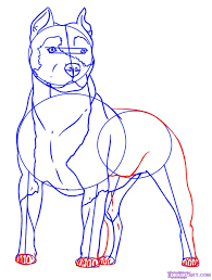 Check spelling or type a new query. How To Draw An American Bulldog Dog Pictures Blog Pitbull Drawing Animal Drawings Dog Drawing