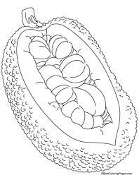 Free printable jackfruit coloring pages and download free jackfruit coloring pages along with coloring pages for other activities and coloring sheets. Jackfruit And Big Seeds Coloring Pages Download Free Jackfruit And Big Seeds Coloring Pages For Kids Coloring Pages Coloring Pages For Kids Coloring Books