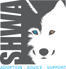 Husky puppy potty training advice. Siberian Husky Welfare Association Husky Rescue Shwa Uk
