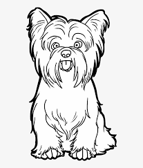 Dog Png Clipart Yorkshire Terrier Drawing Easy Free Transparent Png Download Pngkey Draw a background for your yorkie! dog png clipart yorkshire terrier