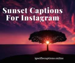 A sunset is life's way of saying, good job, you survived today. Images Of Sunset Quotes 200 Sunset Captions For Instagram Good Beautiful And Funny Dogtrainingobedienceschool Com