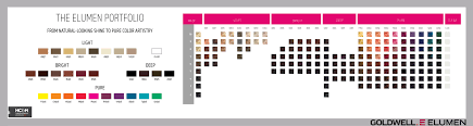 Goldwell Elumen Portfolio 2015 Color Charts Pure