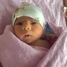 Dr. Mark Fontes, ND (@drmarkfontesnd) • Instagram photos and videos