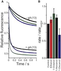 Phenolic Compounds Alter The Ion Permeability Of Phospholipid Bilayers Via  Specific Lipid Interactions - Physical Chemistry Chemical Physics (Rsc  Publishing)