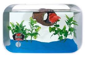 Browse aquariums and fish bowls in different sizes and styles for your pet. Betta House Zoo Med Laboratories Inc