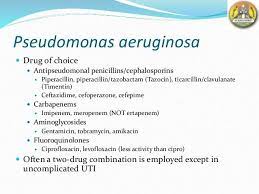 Pin By Lydia Koelle On Medical Professionalism Physician Assistant Pseudomonas Aeruginosa Med Id
