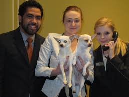 The #1 Blog in Aspen, Colorado, Skiing, News, Events, Mountain LifeStyle,  Social Media, Travel, Opinion