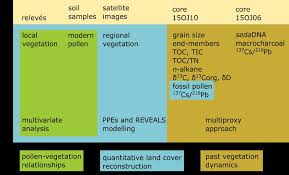 Image result for Stemodiopsis buchananii