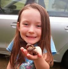 ethically I believe no snail should be houseless