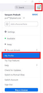 How To Show Profile Picture Instead Of Video In Zoom Meeting