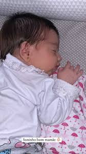 Pin de Marcee Rodríguez en Chistes graciosos de animales en 2025