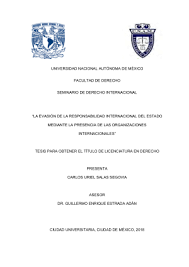 La evasión de la responsabilidad internacional del estado mediante la  presencia de las organizaciones internacionales