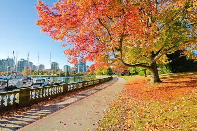 Dove vedere il foliage in Canada – ViaggiaMondo