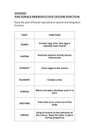 Live worksheets > english > science > cell reproduction. Ks3 Science Reproductive System Worksheets With Answers Teaching Resources