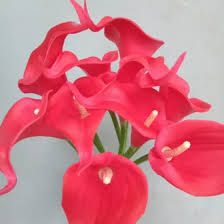 Pesan bunga calla lily adalah untuk fokus pada keindahan di sekitar anda, dan ingat bahwa itu akan. Jual Produk Bunga Calla Lily Merah Termurah Dan Terlengkap Juli 2021 Bukalapak