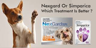 How long does it take for nexgard to work. Nexgard Vs Simparica A Complete Comparison Guide