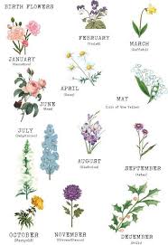 Personalisierte Geburtstag Namenstag Zeichen Geburtsblume Geburts Stein Geburt Baum Neues In 2020 Birth Flowers Birth Flower Tattoos Birth Month Flowers