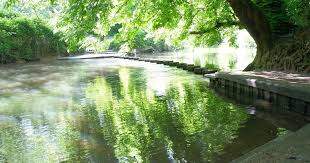 11 Stunning Places In The Surrey Hills You Simply Must Visit In 2020 Surrey Cool Places To Visit Beautiful Spots