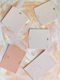 Soft peach color is perfect choice for painting your walls if you want to achieve elegant and sophisticated look to every room in your house or apartment. My Favorite Peach Paint Color Showit Blog