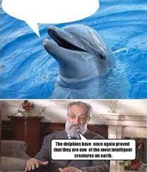 That New Dolphin Meme Memetemplatesofficial Dolphin Memes Funny Dolphin Dolphins