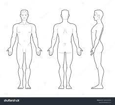 149 592 рез. по запросу «Тело человека контур» — изображения, стоковые  фотографии, трехмерные объекты и векторная графика | Shutterstock