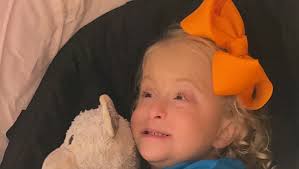 Fundraiser by Amber Lowman : Oaklyn's Service Dog