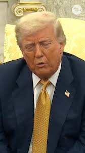 What are the Epstein files?