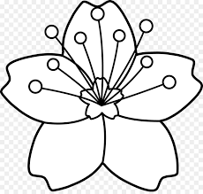 Helps with problem solving and organizational skills. Download Cherry Blossom Tree Drawing