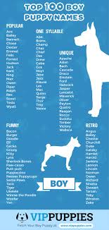 Thanks we are getting a puppy soon and we found the perfect name. Top 100 Puppy Names For Boys Infographic Puppy Names Boy Puppy Names Dog Names