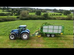 Consider the reason or purpose before cutting begins. Kieran Dennehy Hedge Cutting 2021 Youtube