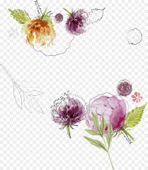 Dutch white clover is the most common variety, providing lawns with that class clover look. Flower Plant Flowering Plant Red Clover Wildflower Png Download 2475 2853 Free Transparent Flower Png Download Cleanpng Kisspng