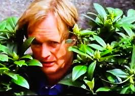 What do you think of a hike in the rainforest?