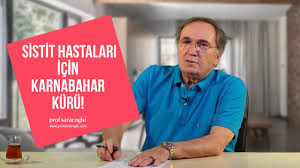 Sistit Idrar Yolu Enfeksiyonu Karnabahar Kuru Prof Saracoglu Anlatiyor Youtube