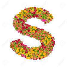 See more ideas about letter s, lettering, lettering alphabet. Letter S Alphabet Made From Zinnia Flower Abc Concept Type As Logo Typography Design With Clipping Path Stock Photo Picture And Royalty Free Image Image 88173948