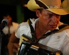 Weekly Entertainment Guide