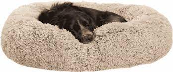 If you're on a tight budget, i. Dog Bed Cost Online Discount Shop For Electronics Apparel Toys Books Games Computers Shoes Jewelry Watches Baby Products Sports Outdoors Office Products Bed Bath Furniture Tools Hardware Automotive Parts