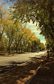 Prescott Arizona Fall Colors Cool Places To Visit Arizona Travel Prescott Arizona