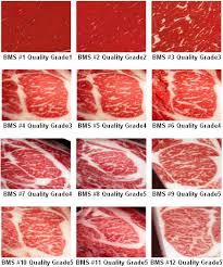 Beef Marbling Standards In 2019 Food Beef Steak Wagyu Meat