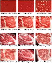 beef marbling standards in 2019 food beef steak wagyu meat