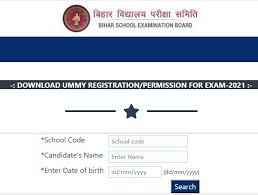 Bihar school examination board (bseb) has announced the bihar class 10 matric result 2021. Bseb Dummy Registration Card 2021 Download 10th 12th Admit Card Correction Biharboard Online Com