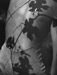 Photos By Koto Bolofo Schattenspiel Schatten Schwarz Weiss